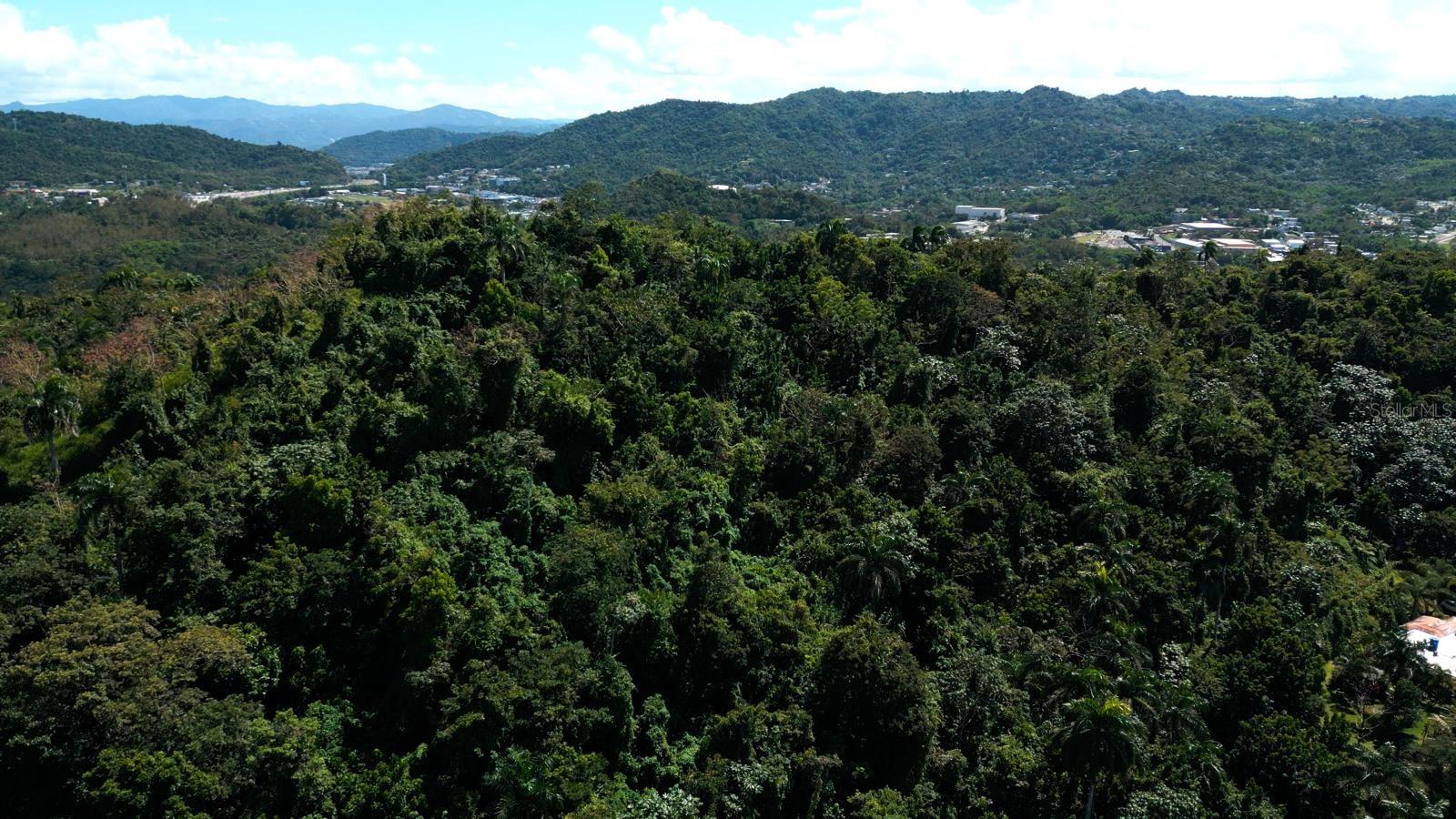 175 Bo San Antonio, PR