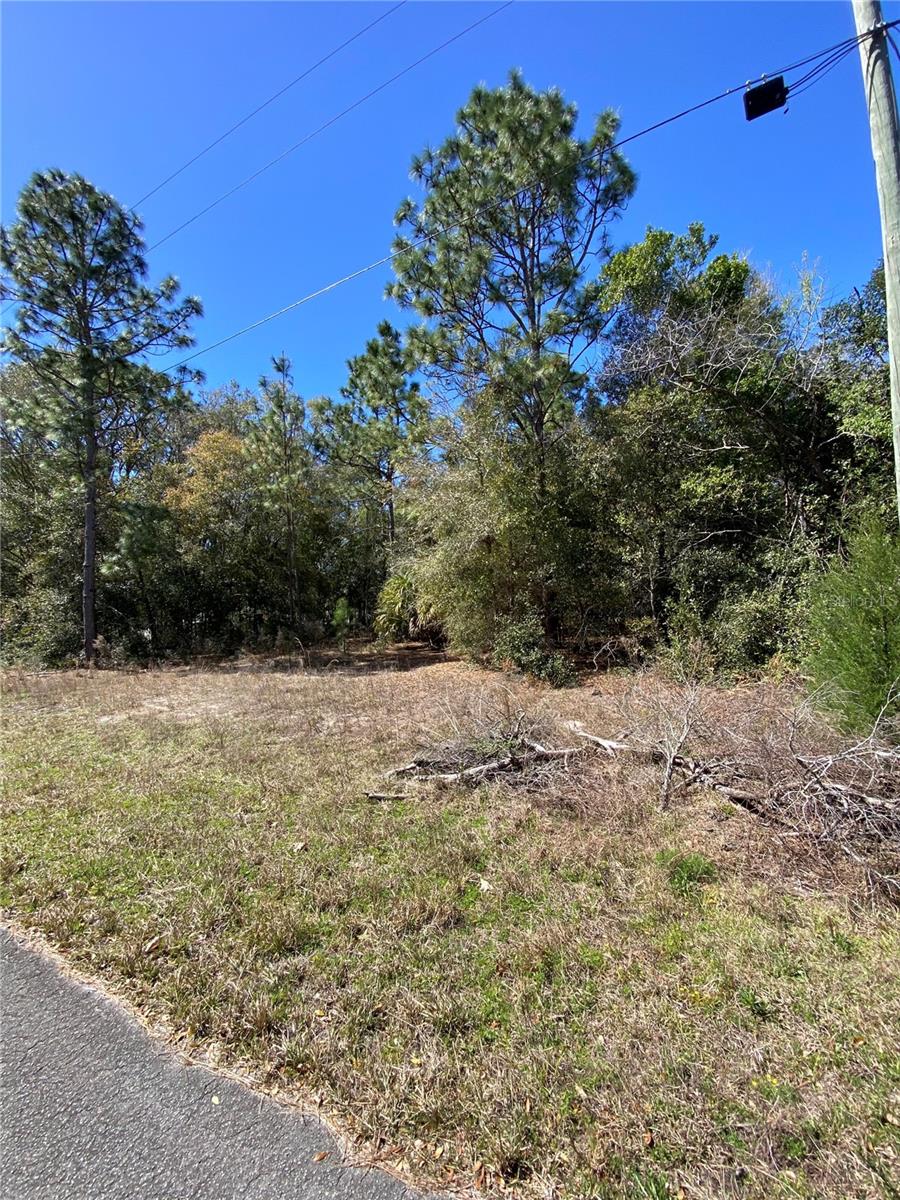 8630 Catapane Loop, FL