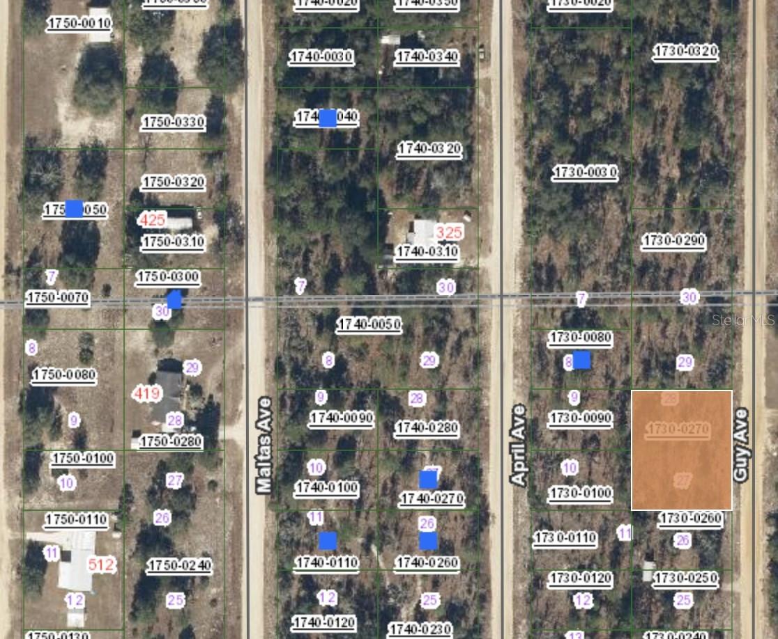 00 Guy Avenue, FL