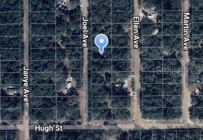Joel Avenue, FL
