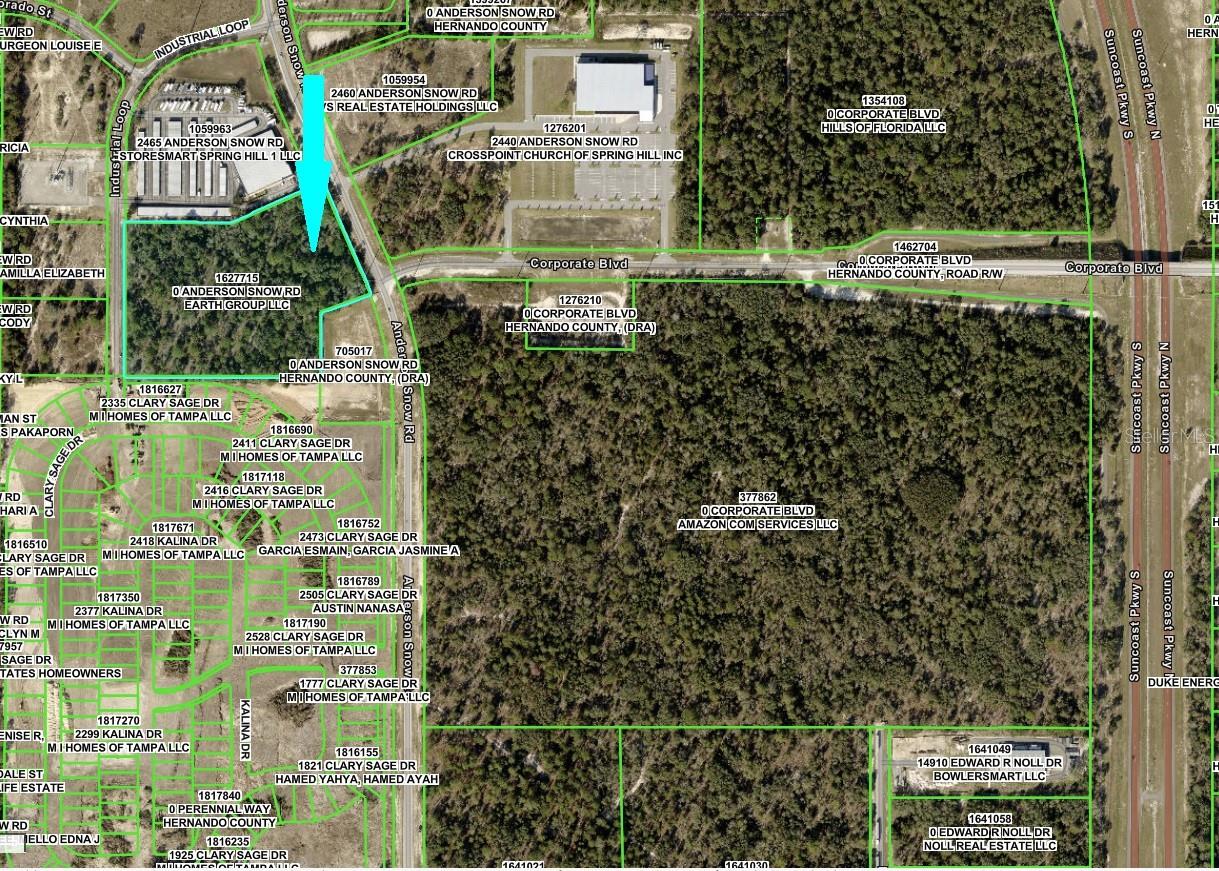 0 Anderson Snow Road, FL