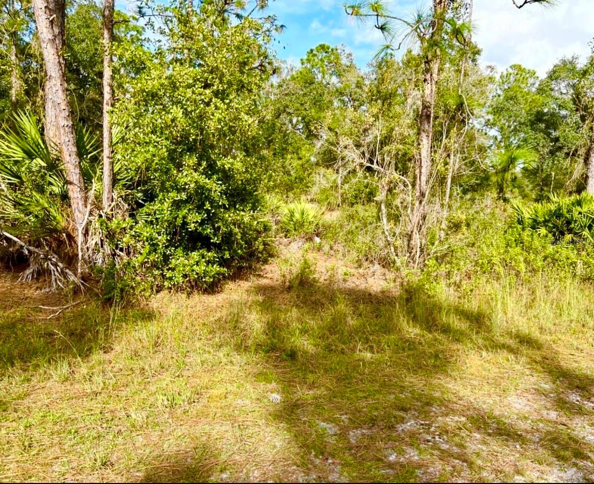 Oleander Drive, FL