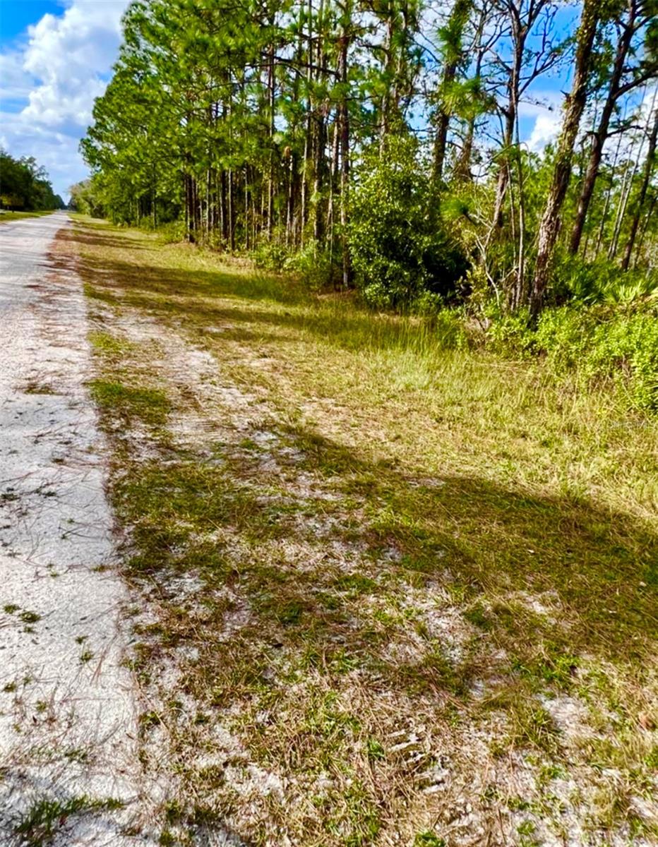 Oleander Drive, FL