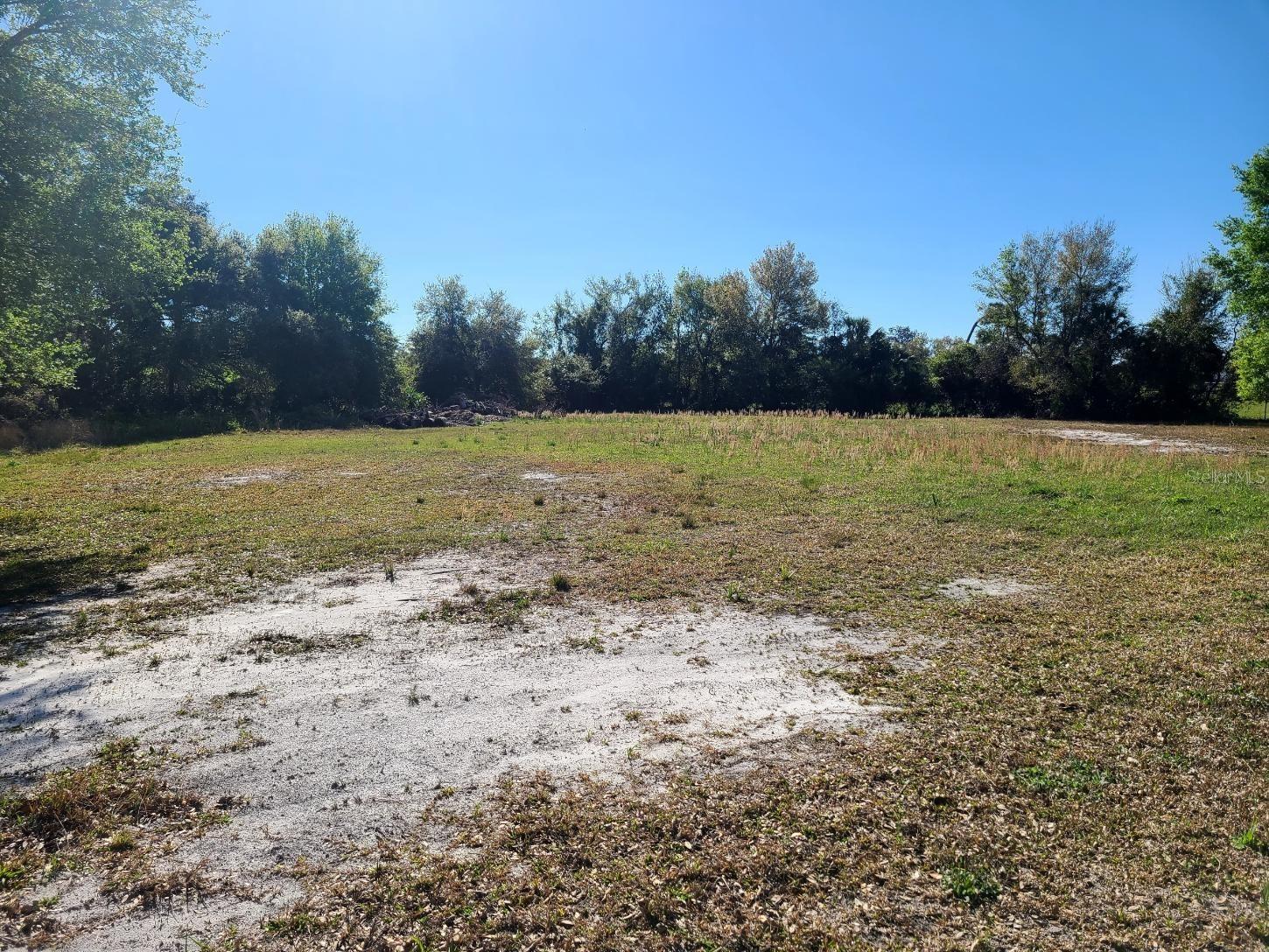 3541 Boulevard, FL