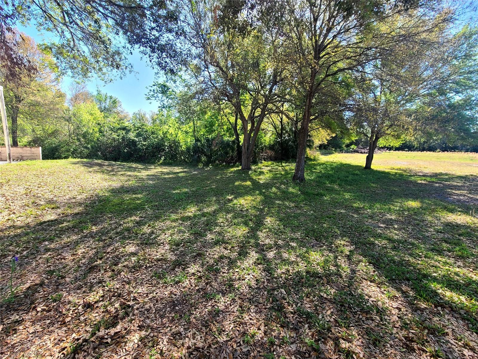 3541 Boulevard, FL