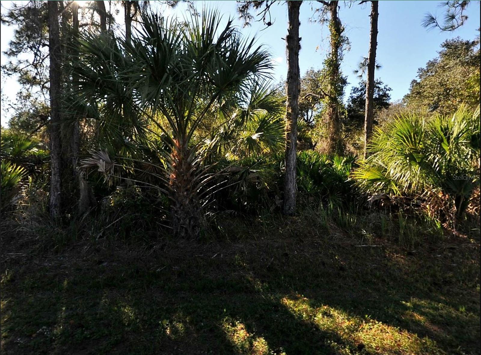 Lot 17 Ruiz Street, FL