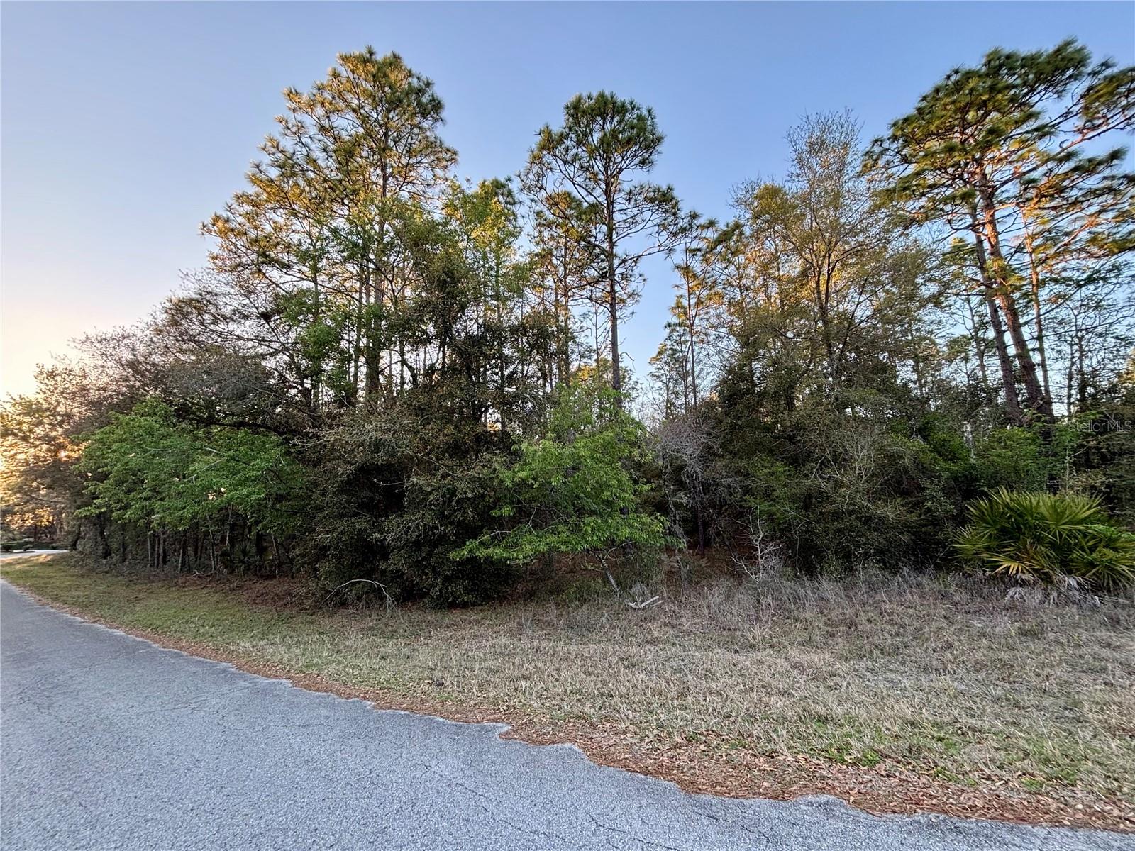 Lot 33 97 Place, FL