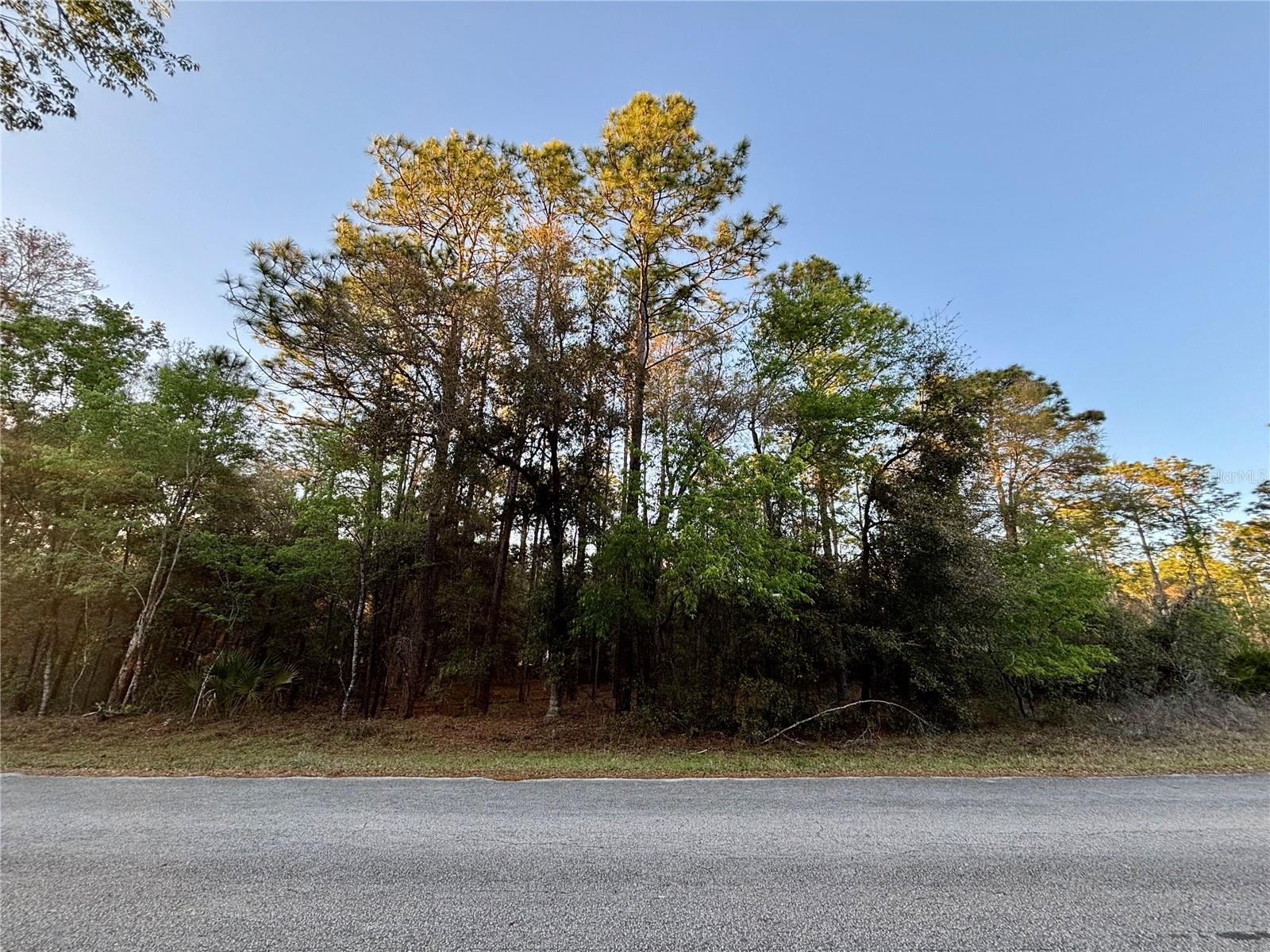Lot 33 97 Place, FL
