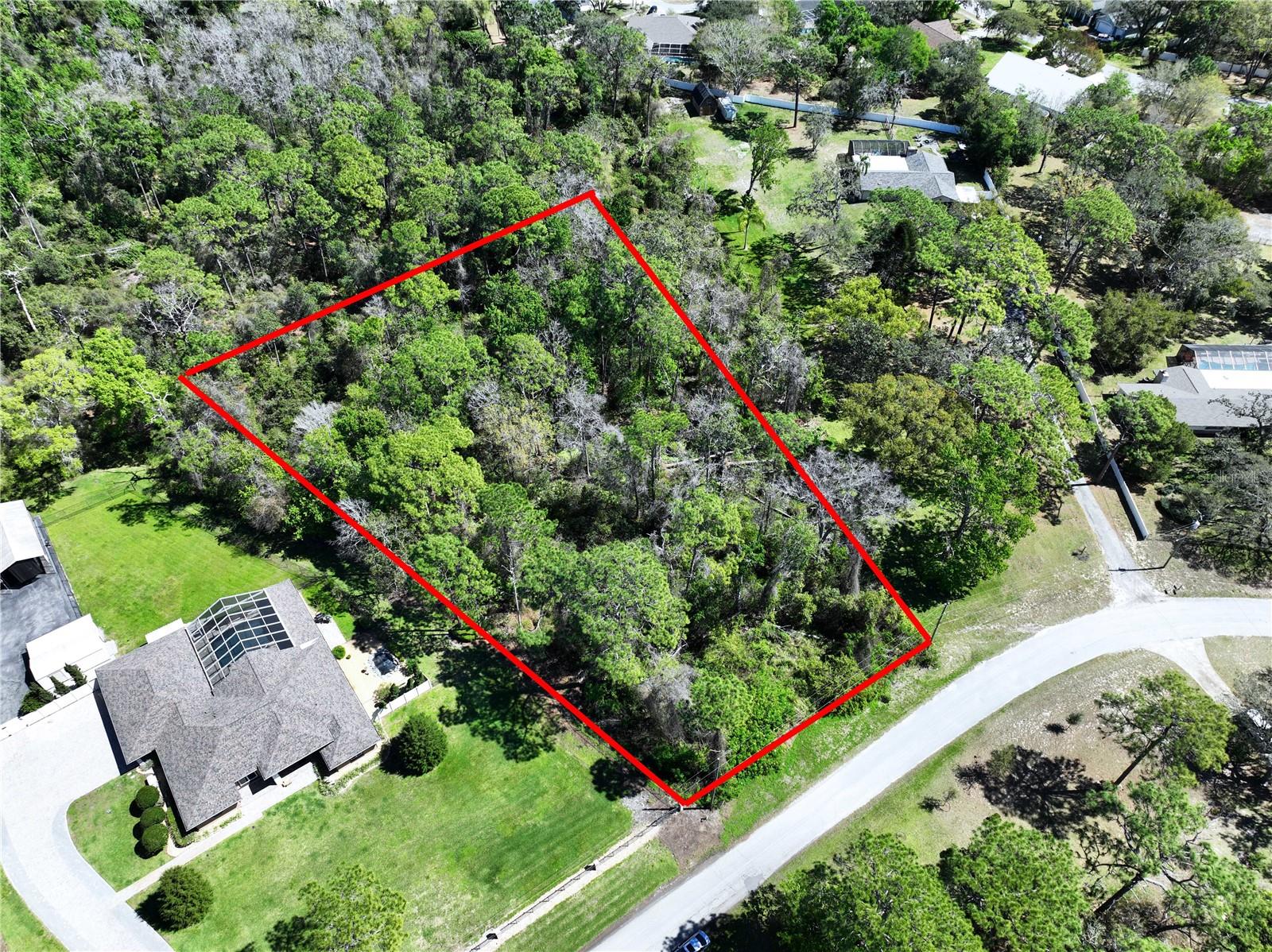 Red Oak Loop, FL