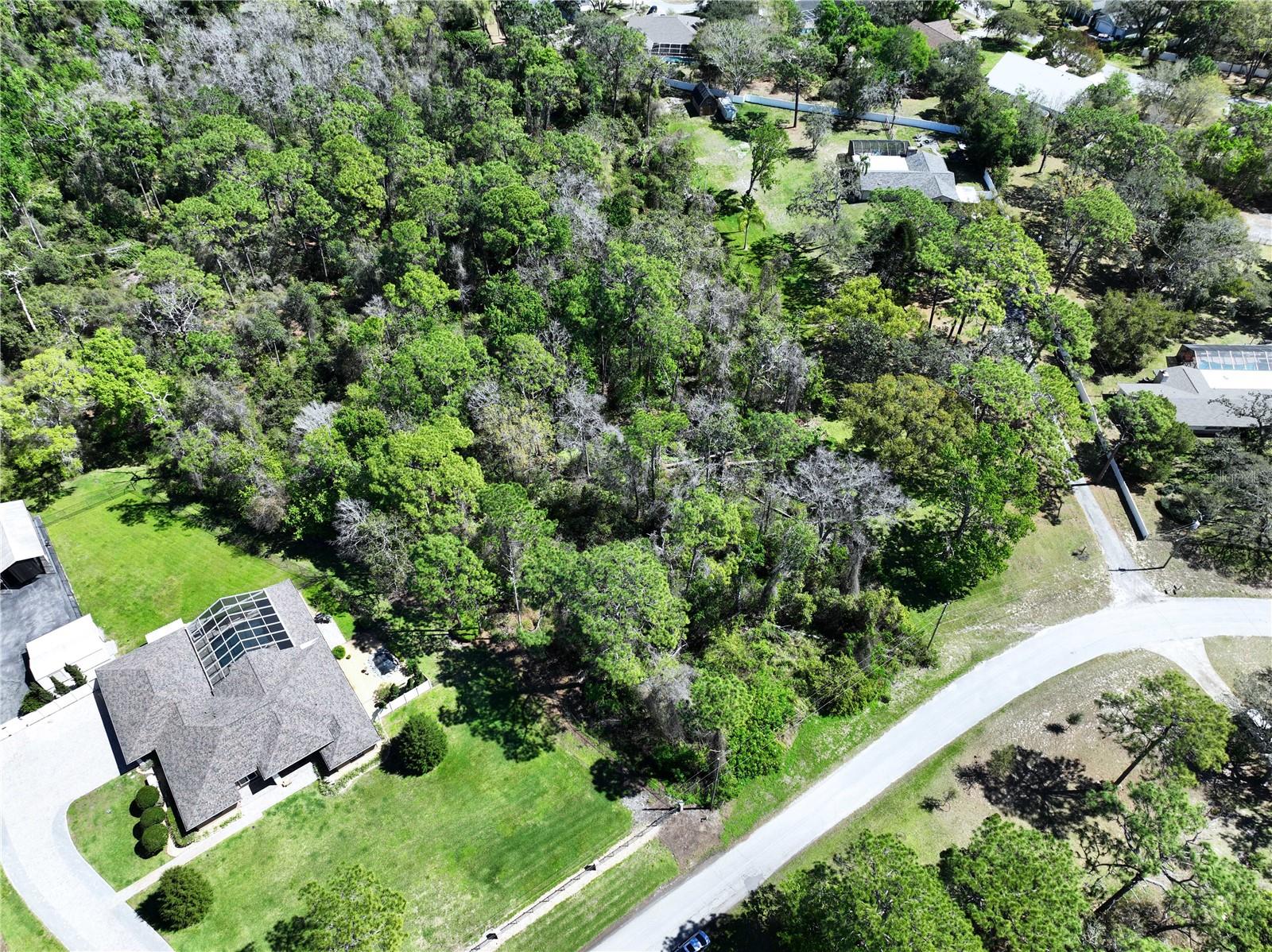 Red Oak Loop, FL