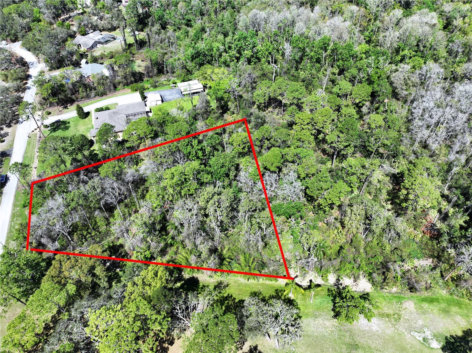 Red Oak Loop, FL