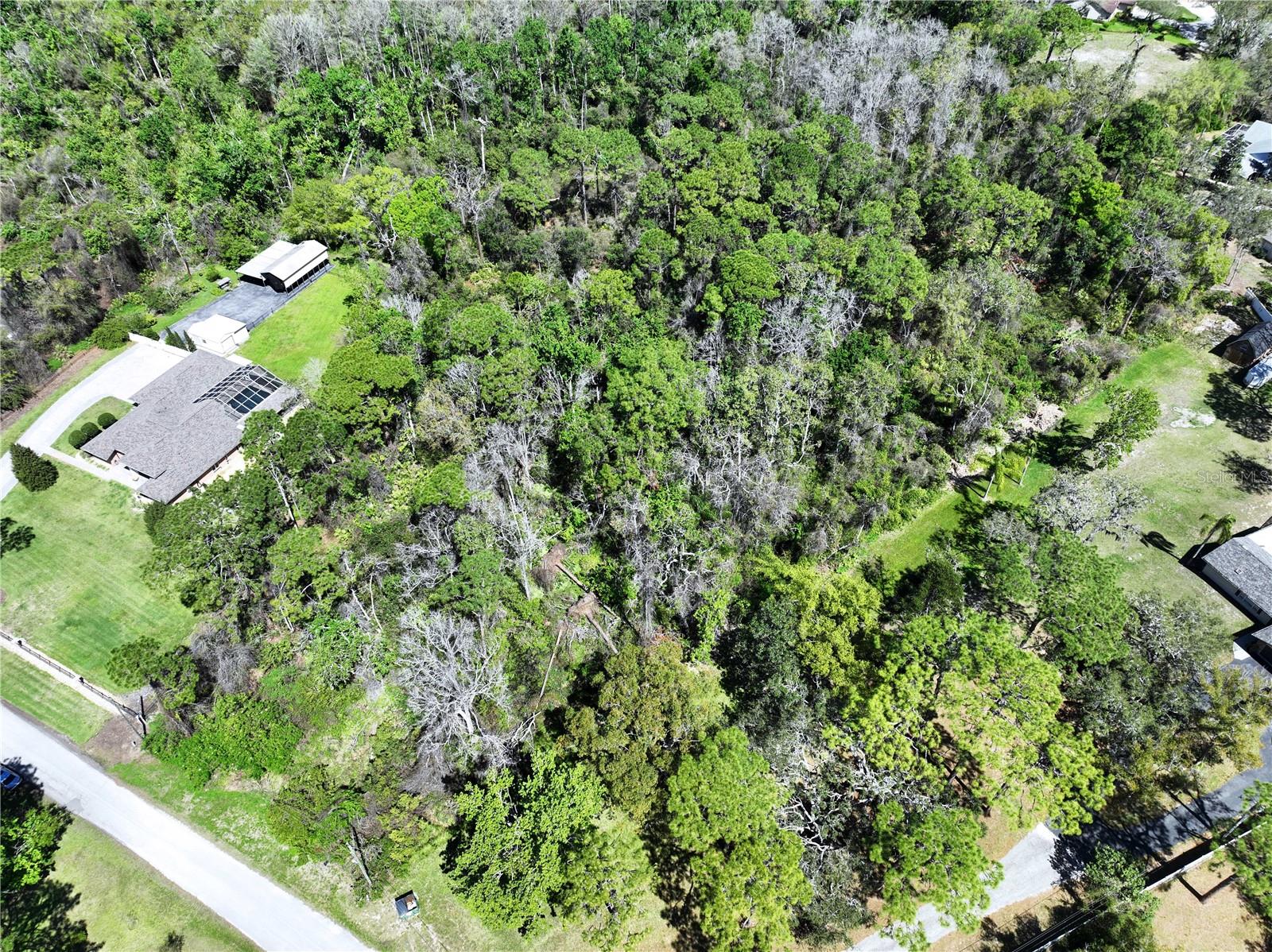 Red Oak Loop, FL