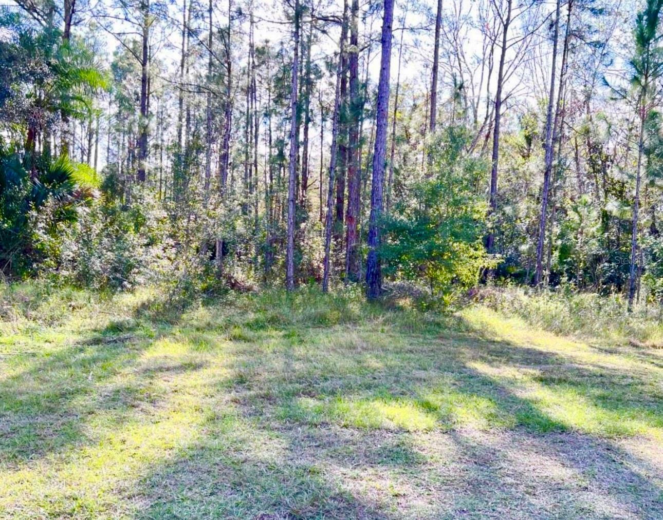 1011 Indian Lake Drive, FL
