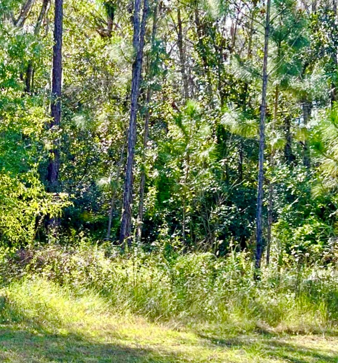 1011 Indian Lake Drive, FL