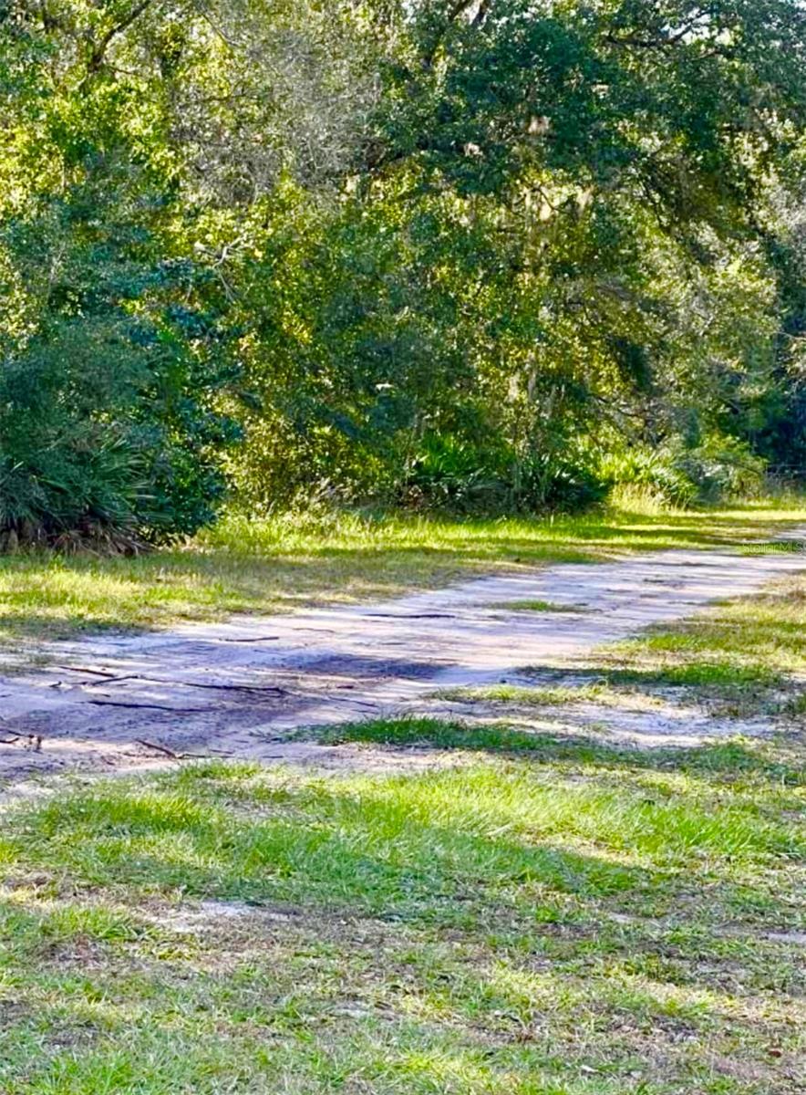 1011 Indian Lake Drive, FL