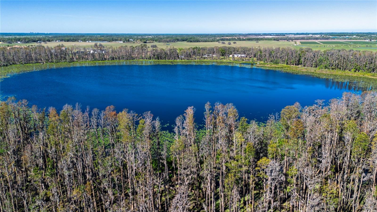1 Alderman Turner Road, FL