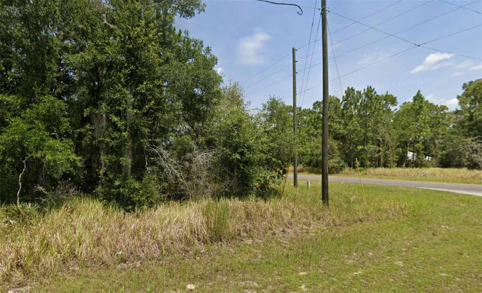 Lot 19 Locust Pass Lane, FL