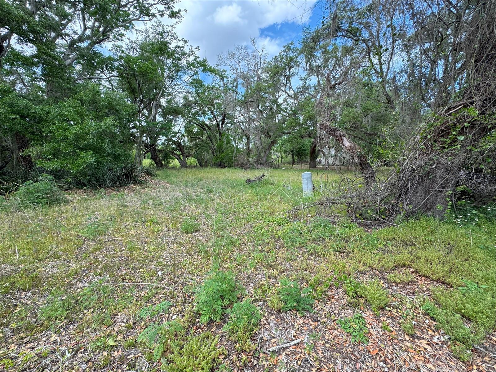3221 Dublin Road, FL