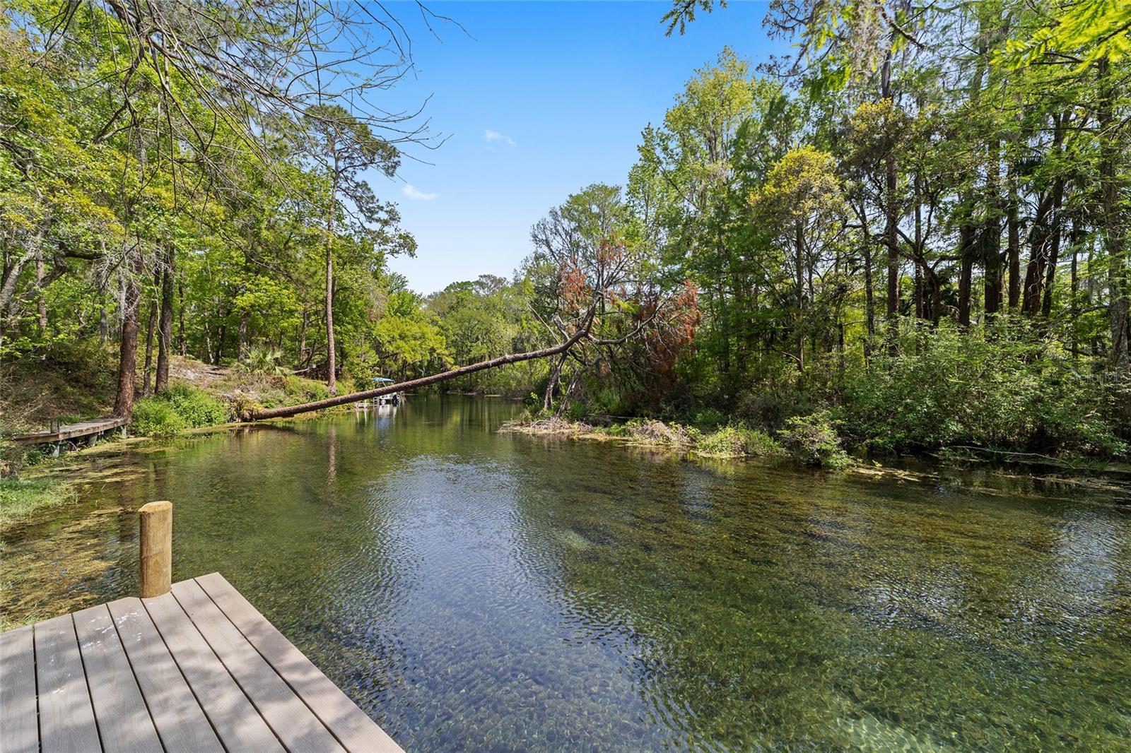10894 185th Terrace, FL
