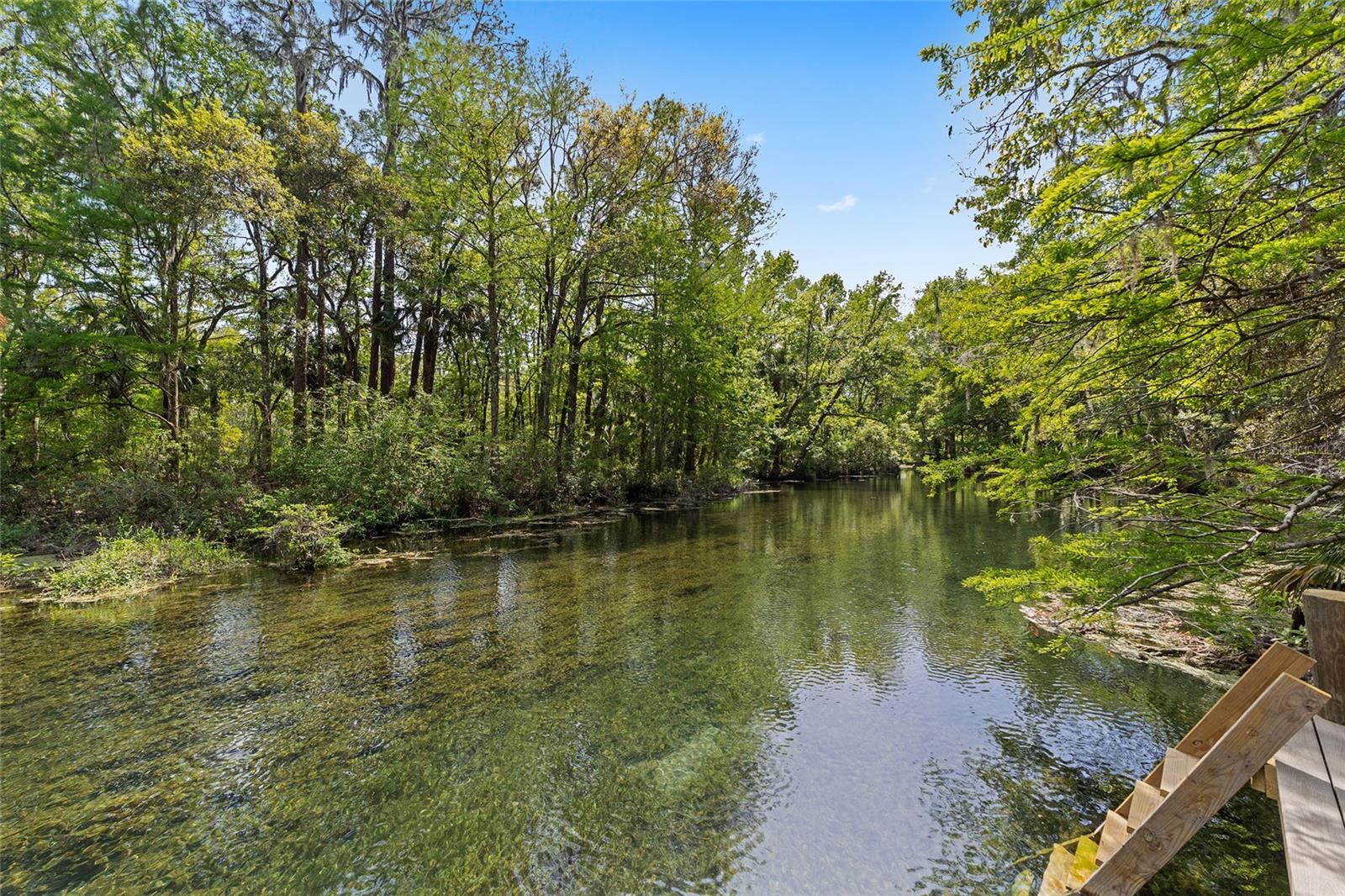 10894 185th Terrace, FL