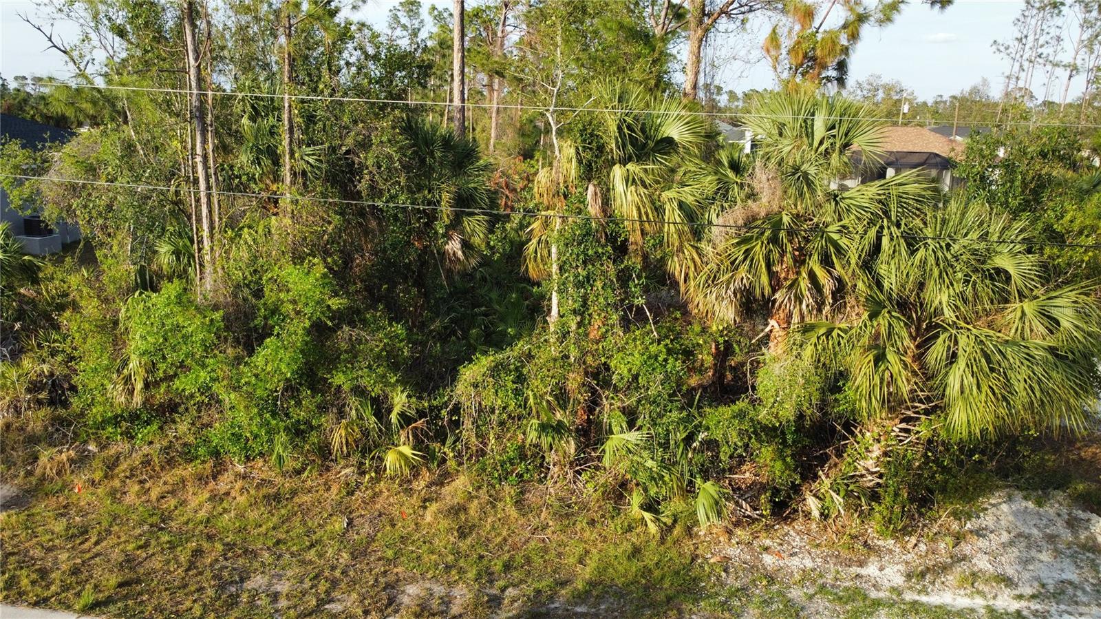 Sparkle Lane, FL