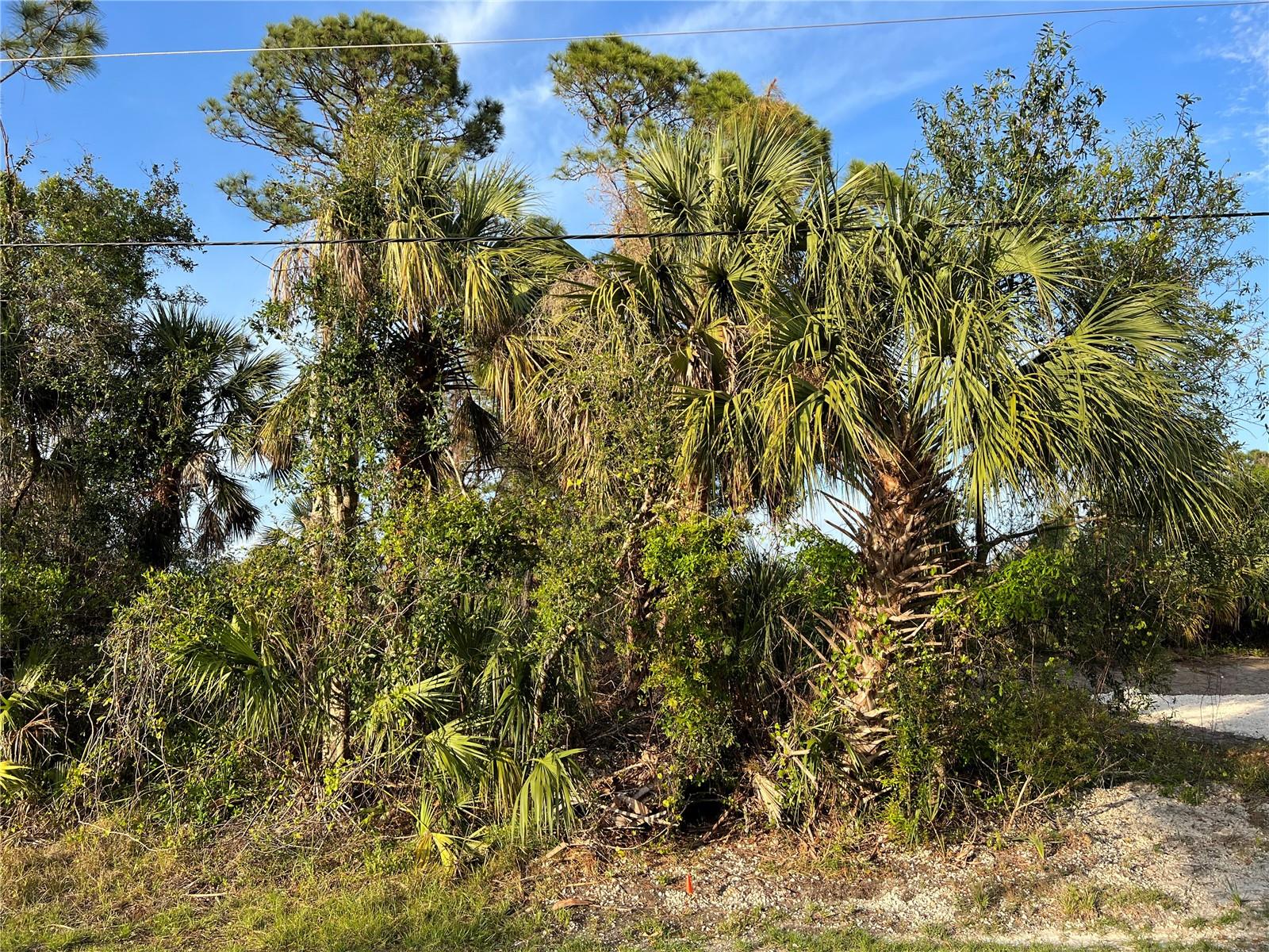 Sparkle Lane, FL
