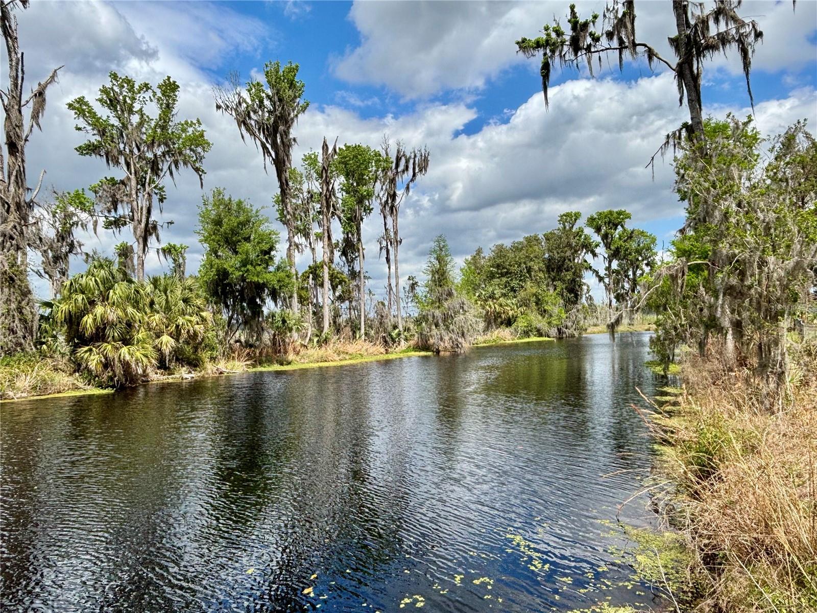 216 Little Orange Lake Drive, FL
