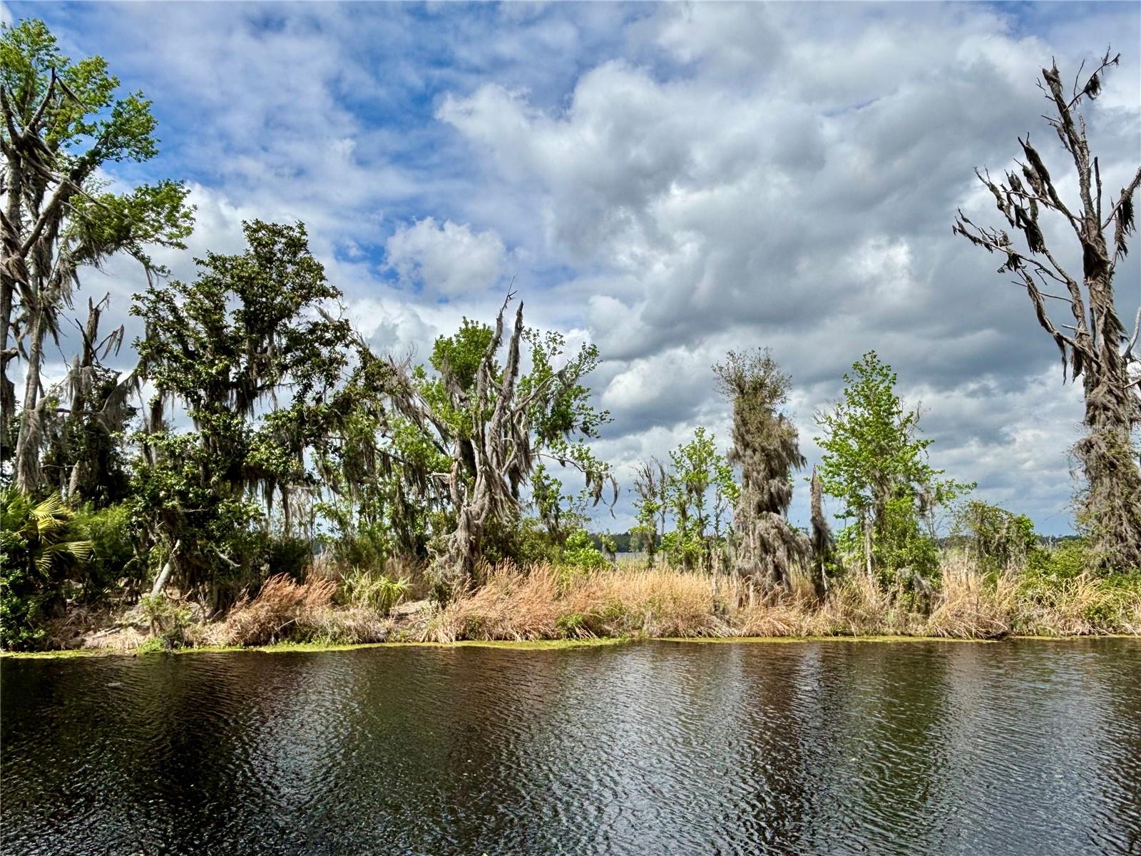 216 Little Orange Lake Drive, FL