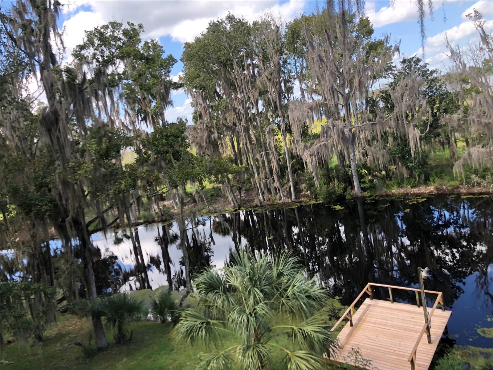 216 Little Orange Lake Drive, FL