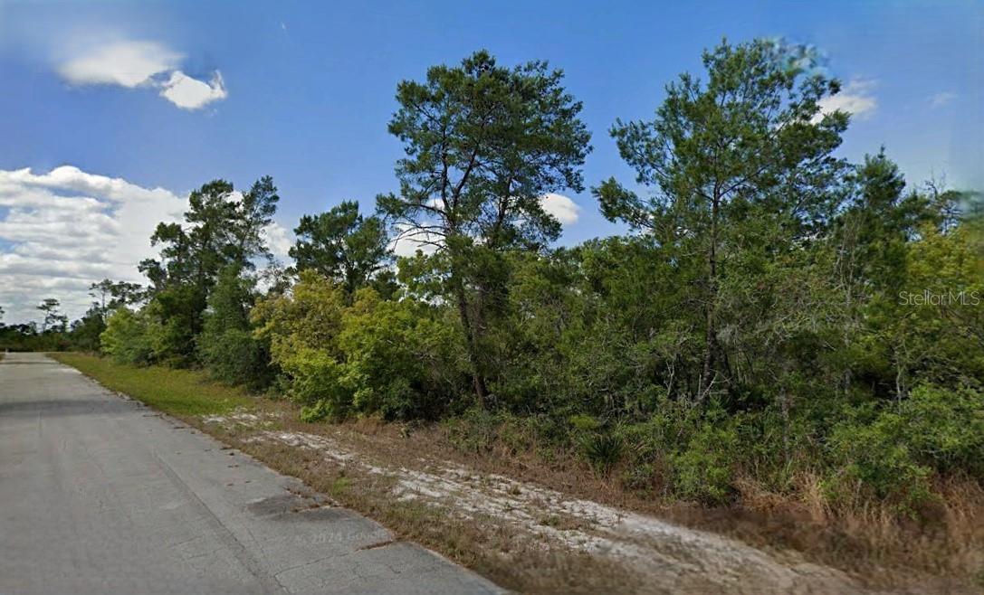 215 & 217 Treasurer Avenue, FL