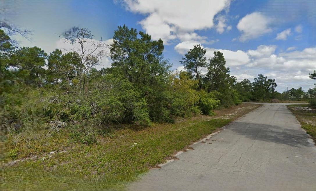 215 & 217 Treasurer Avenue, FL