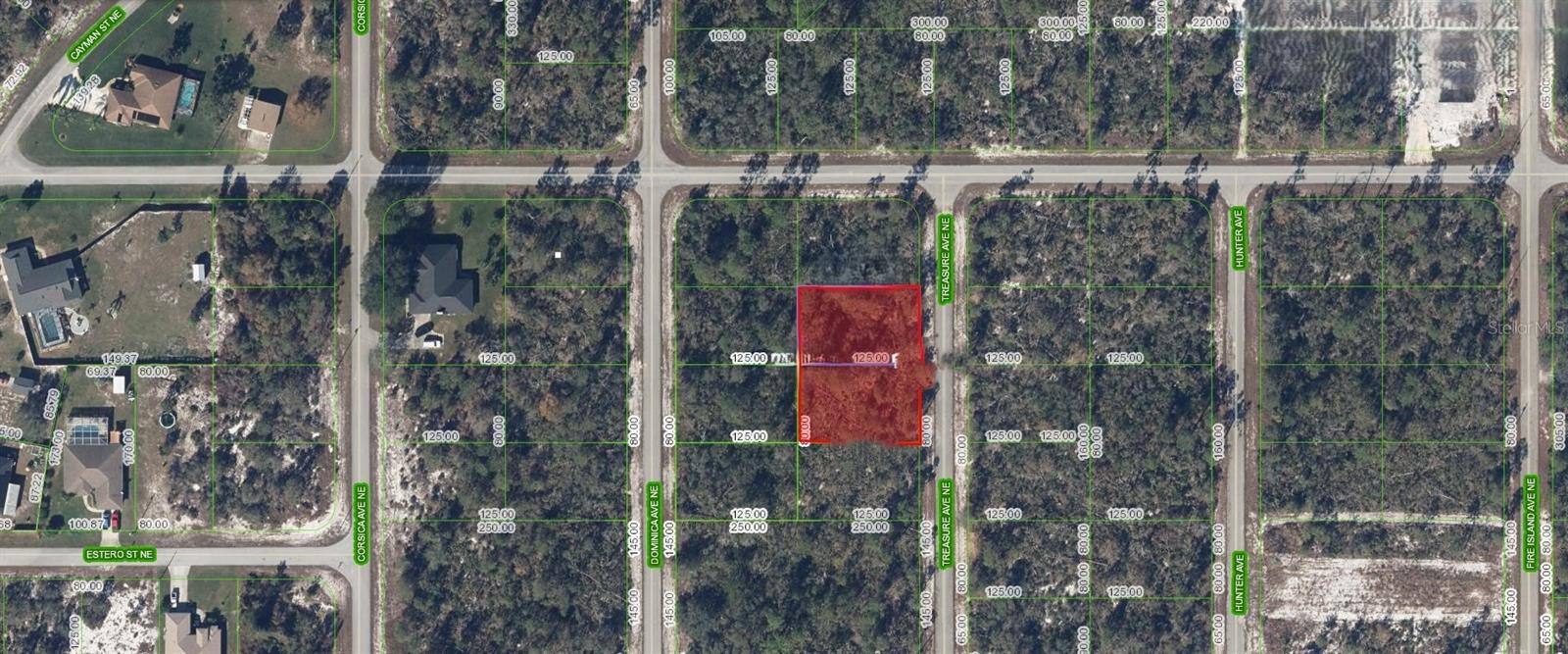215 & 217 Treasurer Avenue, FL