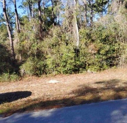 Lot 138 168th Terrace, FL