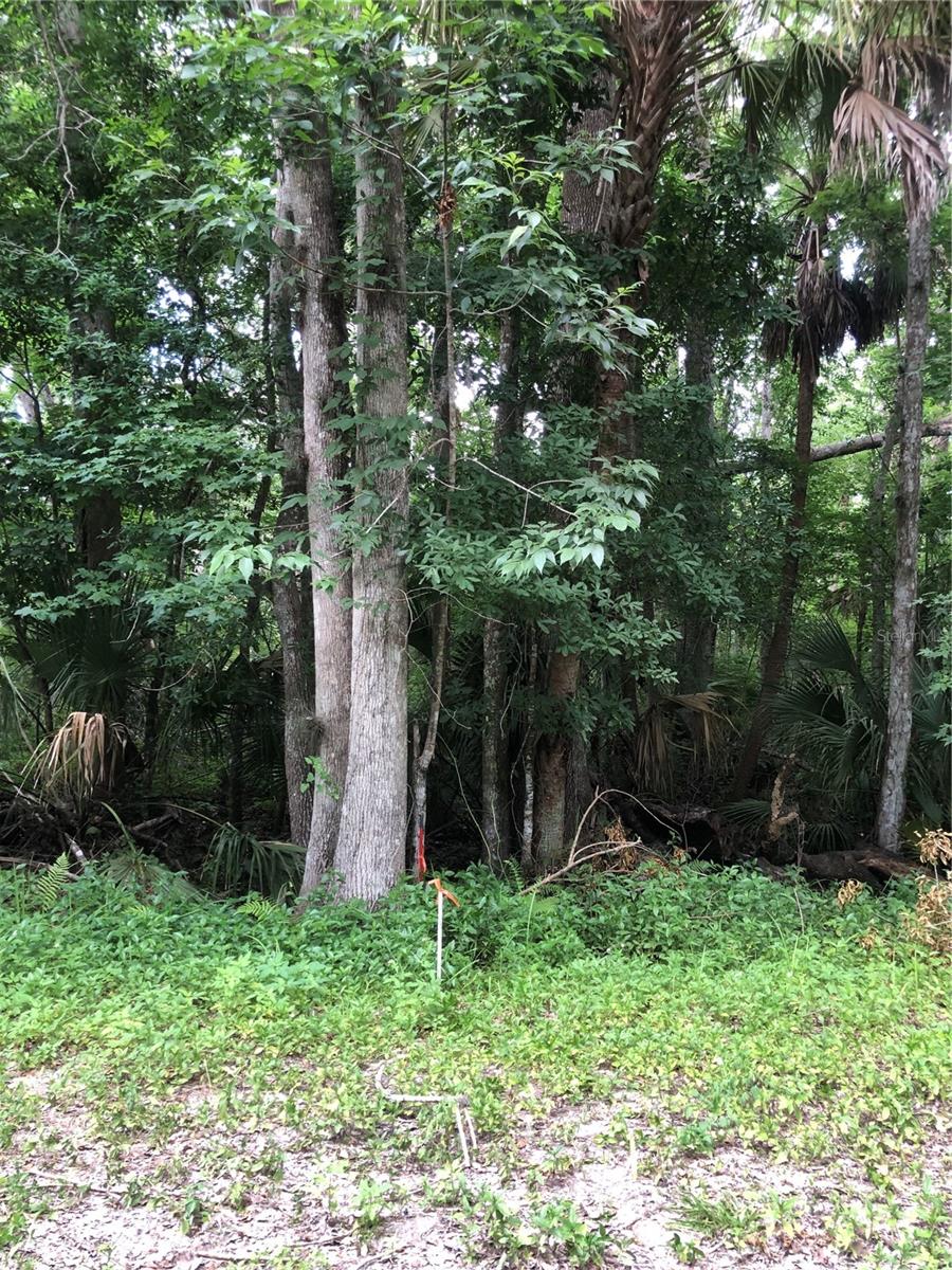 Keefer Trail, FL