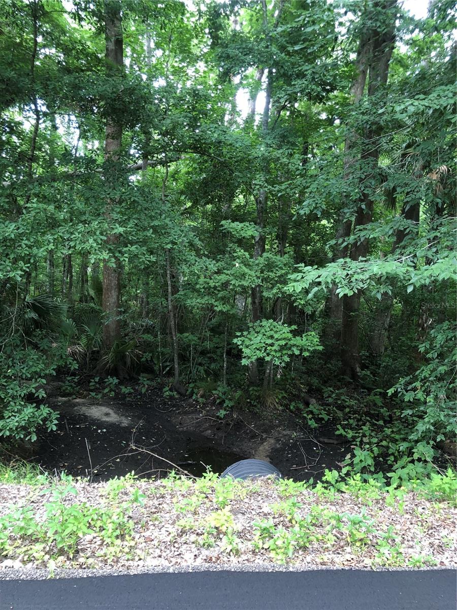 Keefer Trail, FL