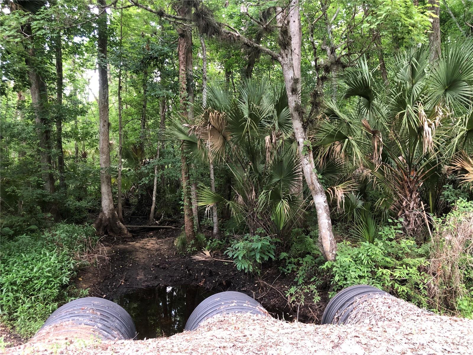 Keefer Trail, FL