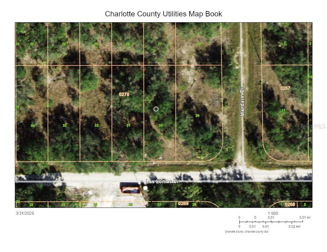 27248 Las Lomas Drive, FL