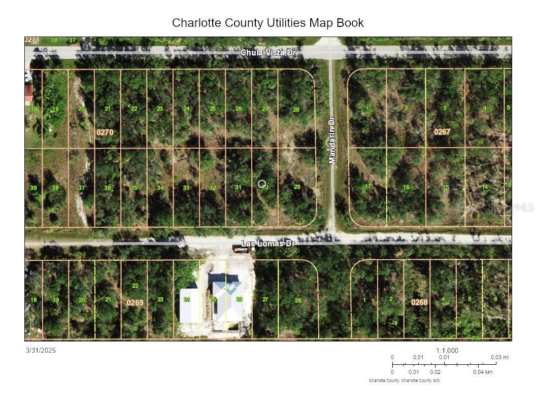 27248 Las Lomas Drive, FL