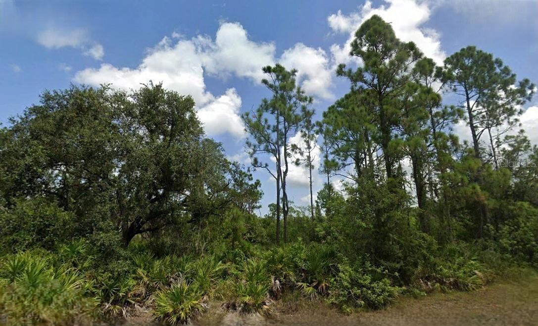 28116 Or 28120 Ramiro Drive, FL