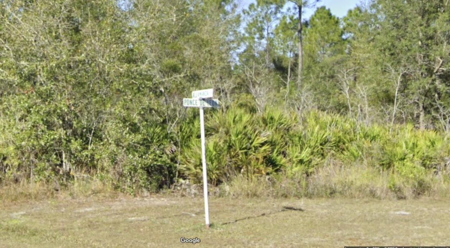 404 Allamanda Drive, FL