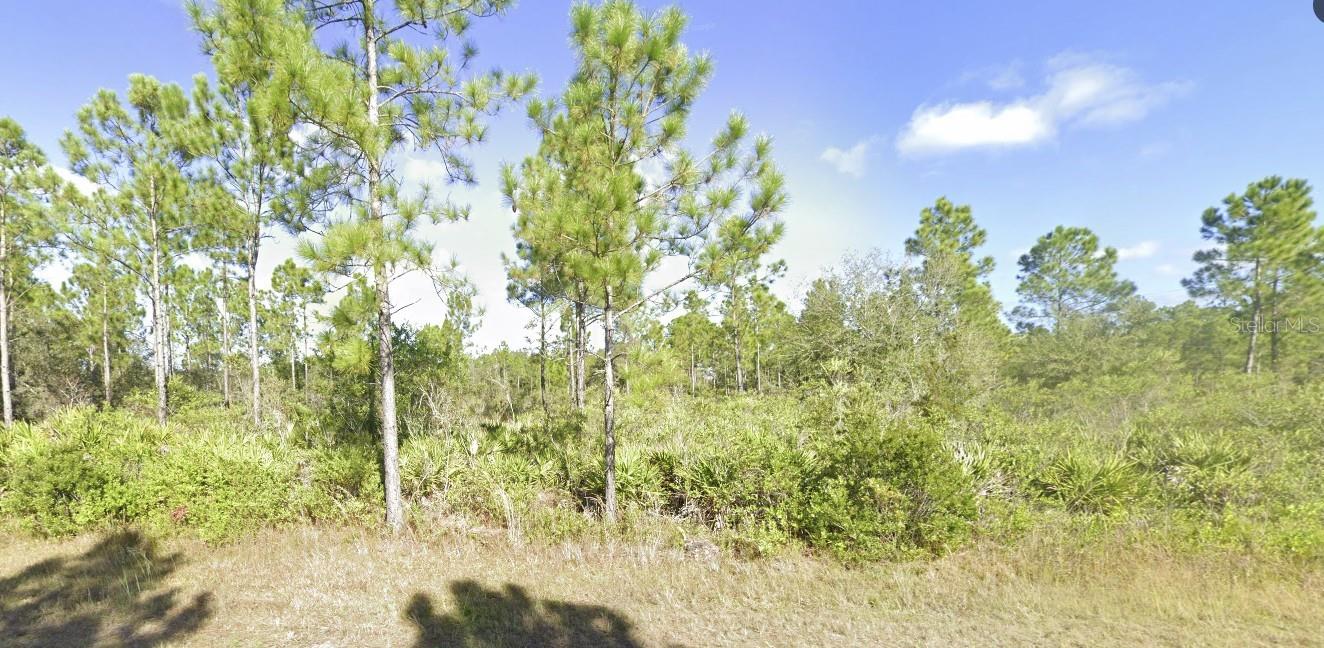 404 Allamanda Drive, FL