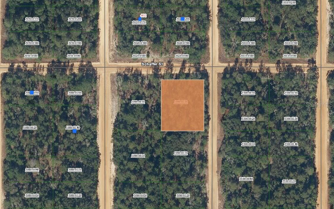 00 Shappell Avenue, FL