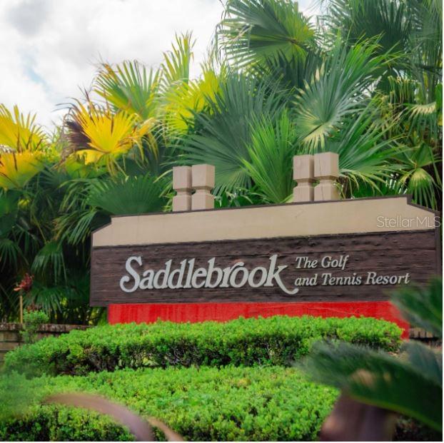 5454 Saddlebrook Way, FL