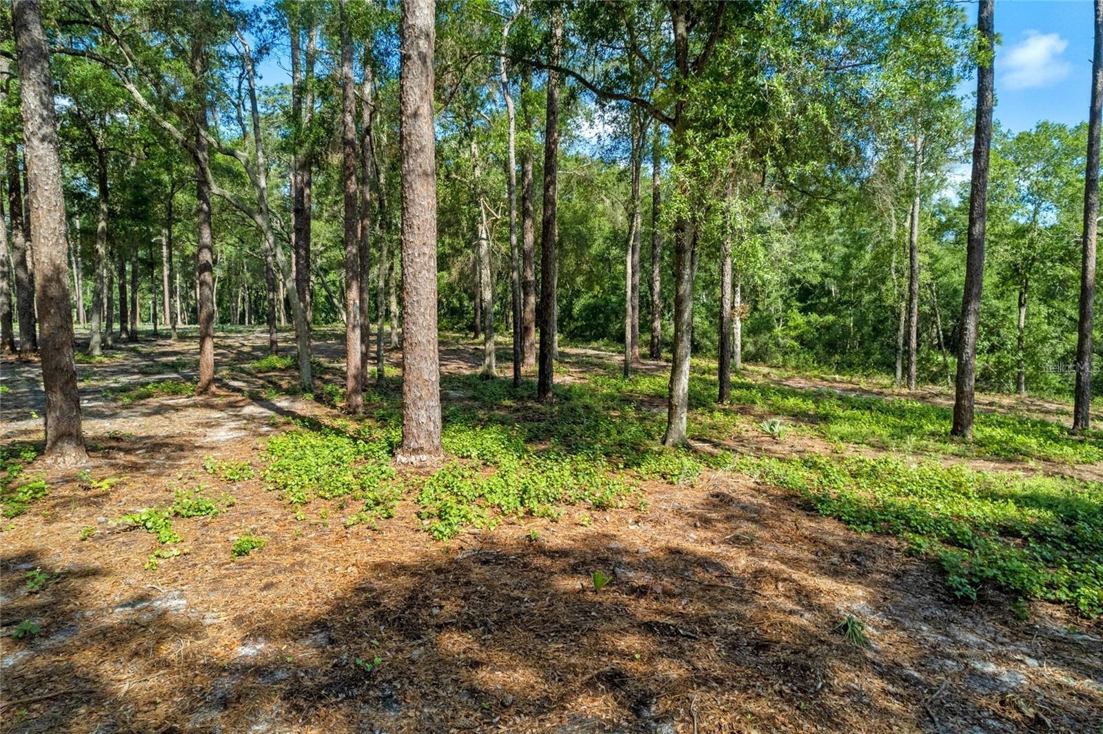 29901 State Road 44, FL