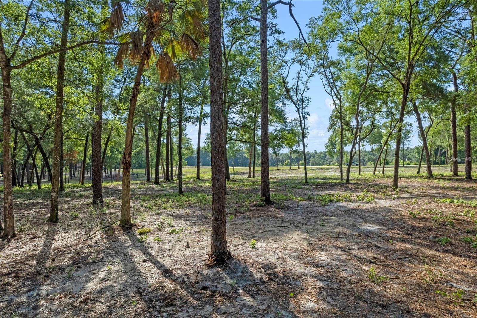 29901 State Road 44, FL