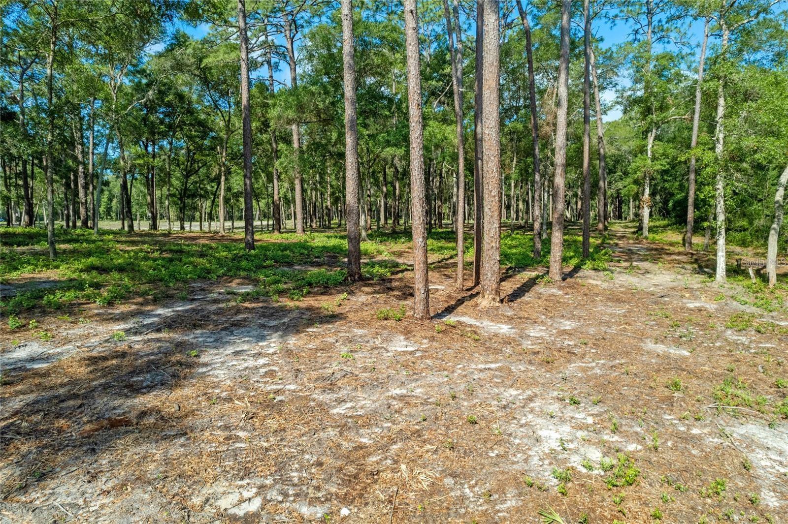 29901 State Road 44, FL