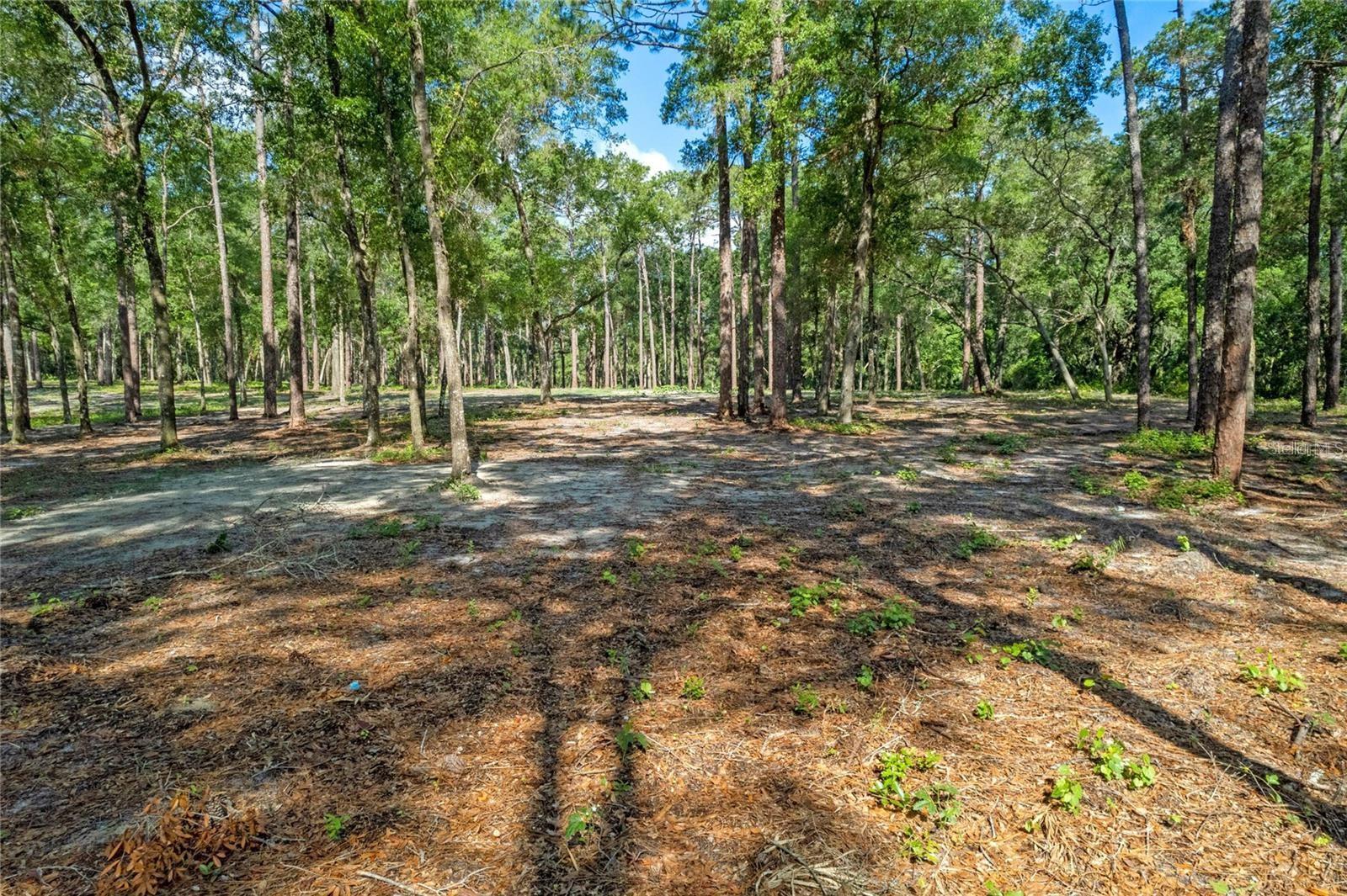29901 State Road 44, FL