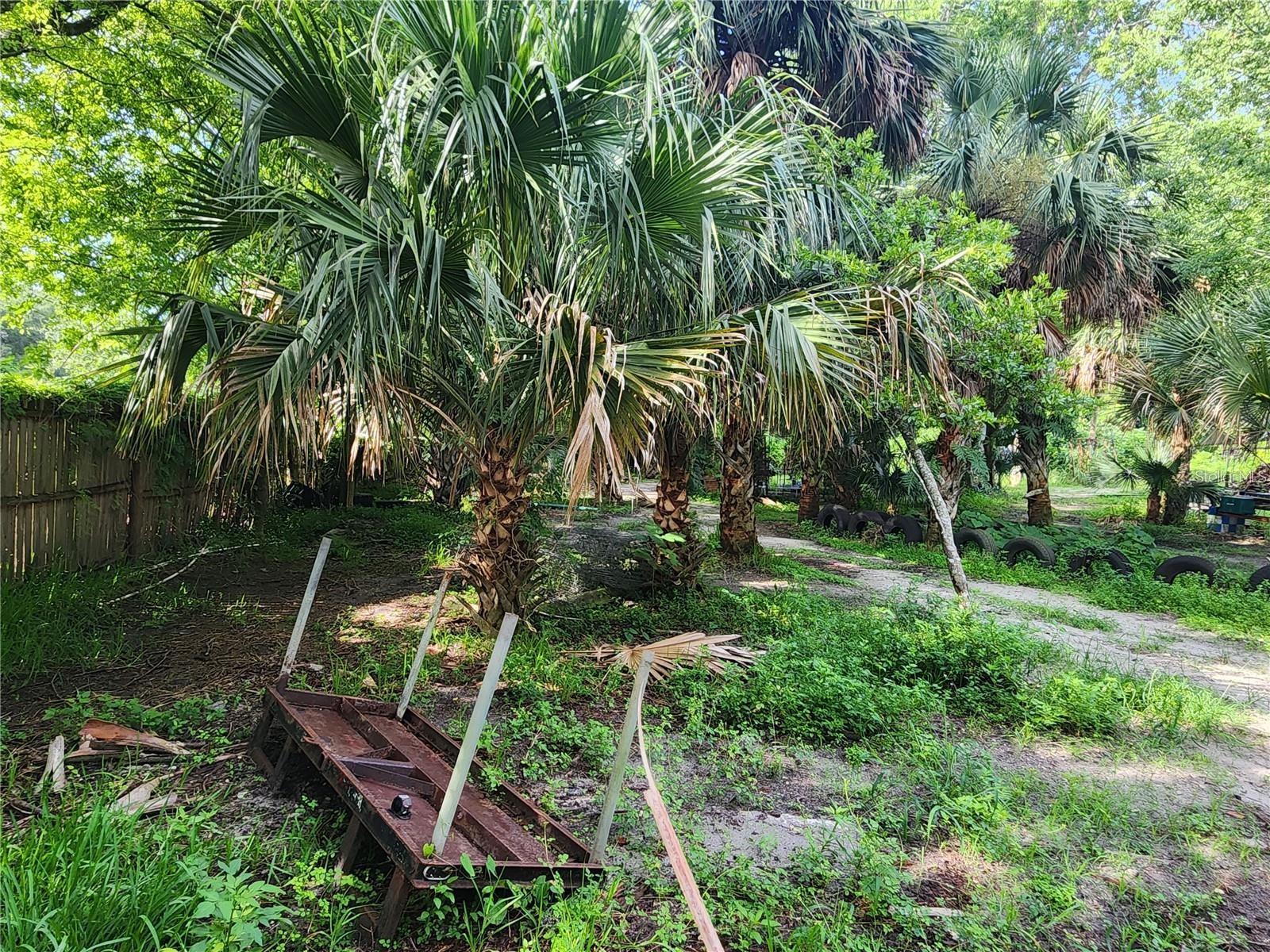 Sanford Avenue, FL