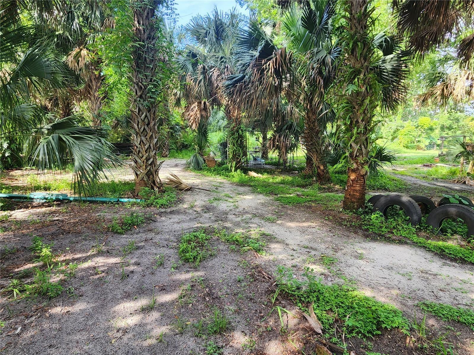 Sanford Avenue, FL