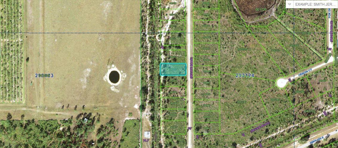 1251 Pinnata Drive, FL